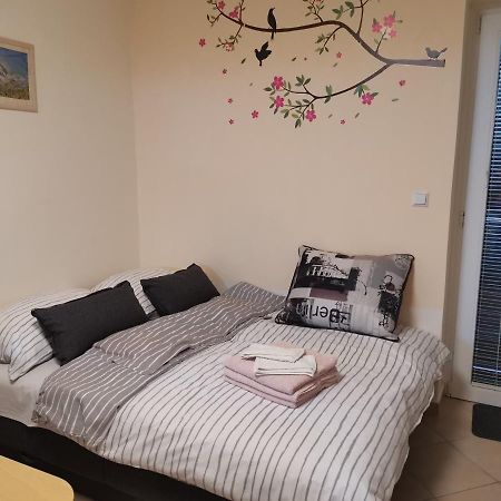 Apartma Gaber 80 Zrece Luaran gambar