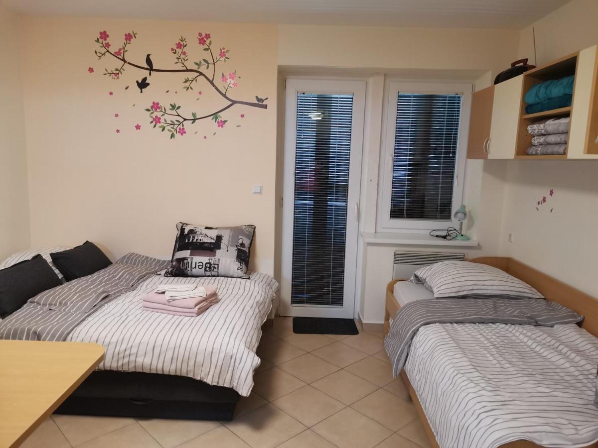 Apartma Gaber 80 Zrece Luaran gambar