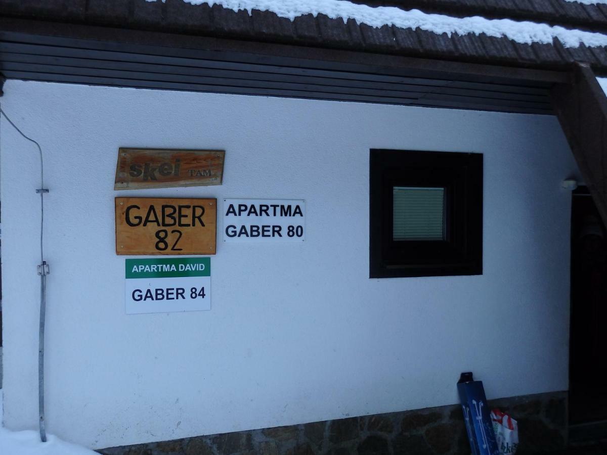 Apartma Gaber 80 Zrece Luaran gambar