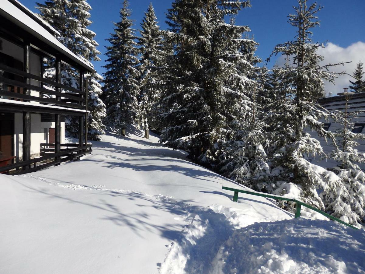 Apartma Gaber 80 Zrece Luaran gambar